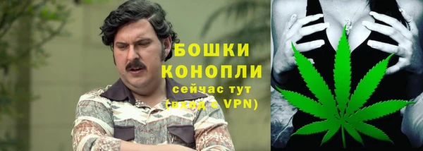 твердый Богородицк