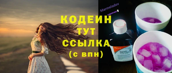 твердый Богородицк