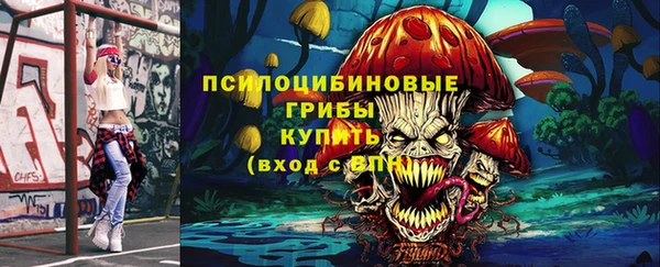 твердый Богородицк