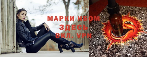 твердый Богородицк