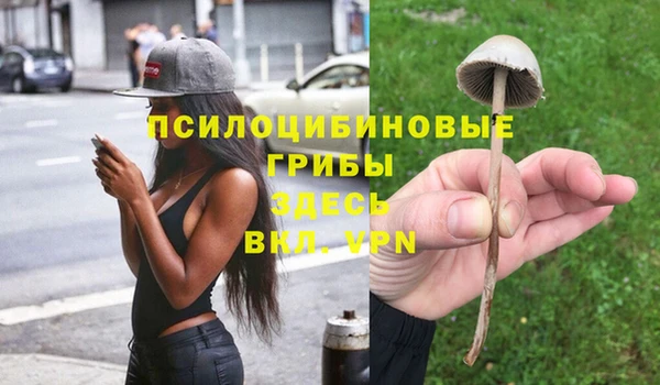 твердый Богородицк