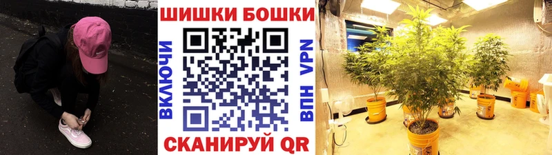 Бошки марихуана Amnesia Котельниково